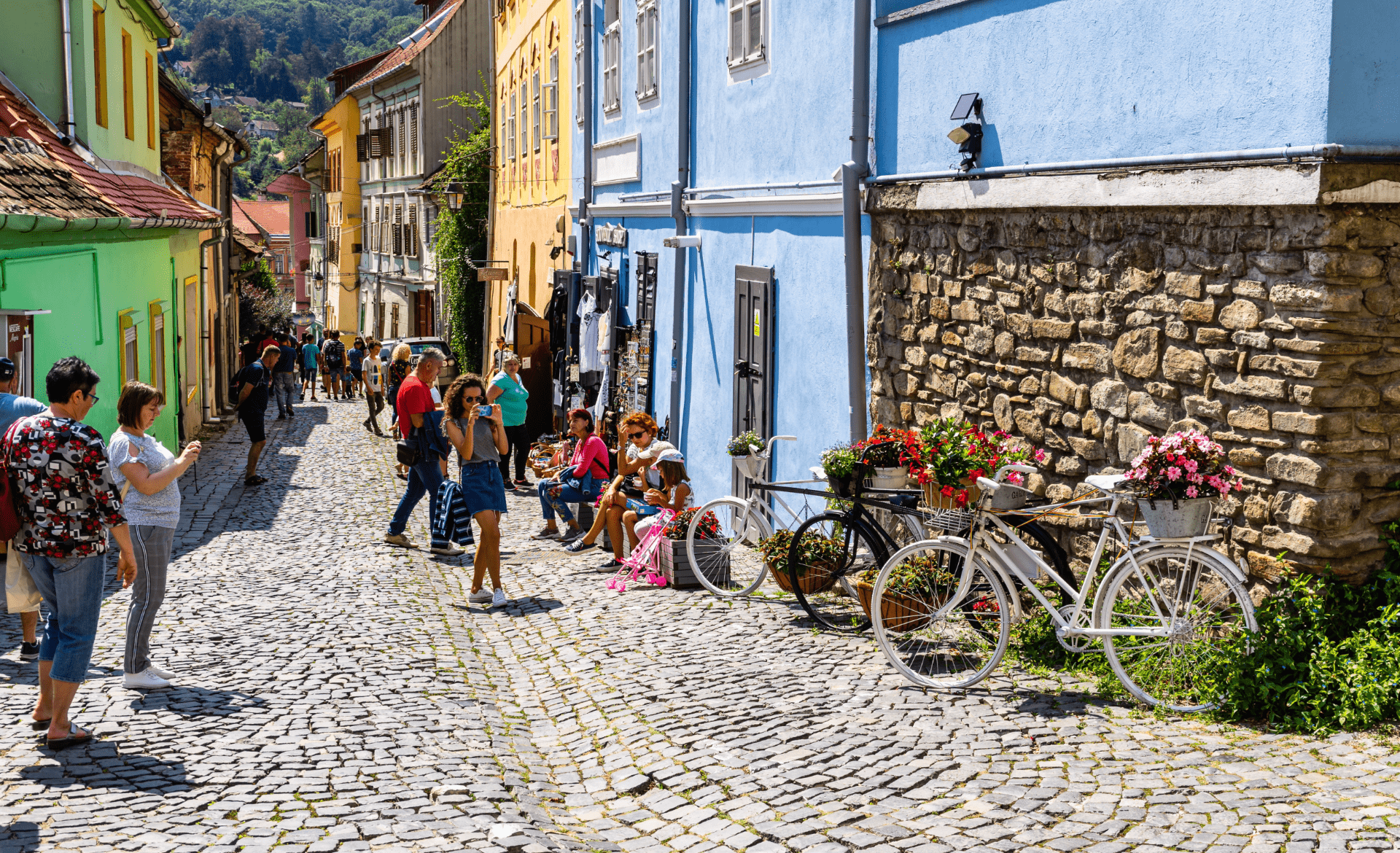 Tururi Self-Guided Sighișoara